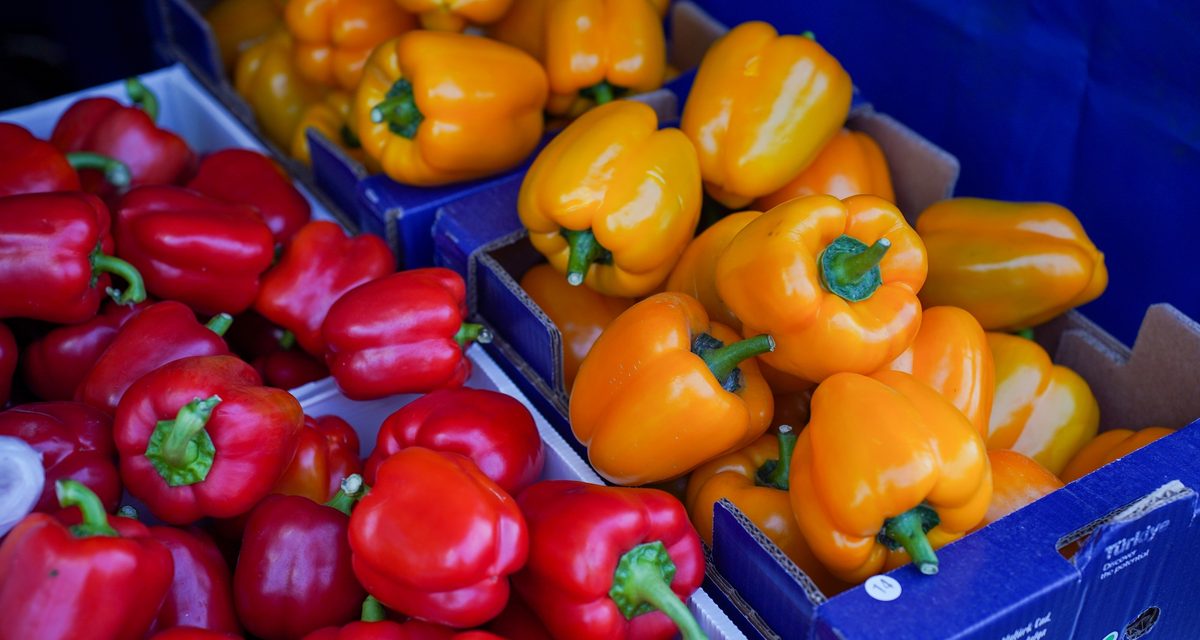 Сельхозярмарки в Нижнекамске откроются 12 сентября: местные продукты будут продавать дешевле